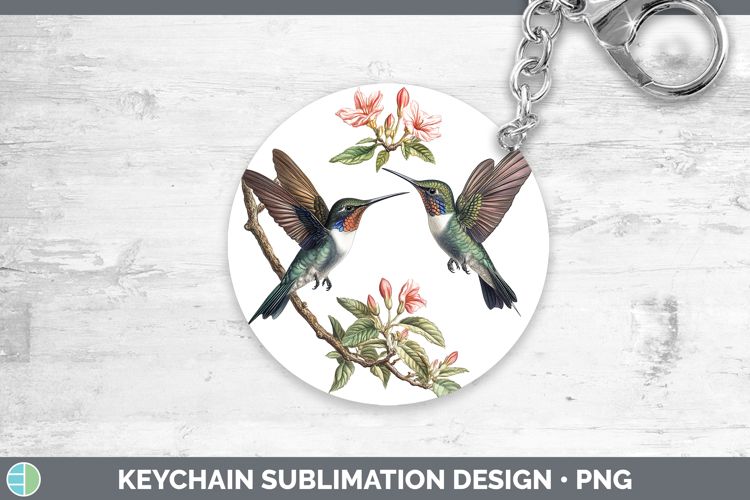 Hummingbird Clipart Image 22