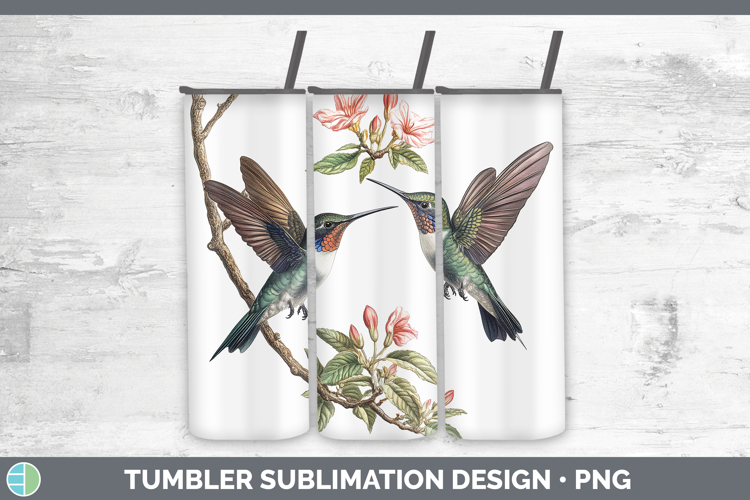 Hummingbird Clipart Image 12