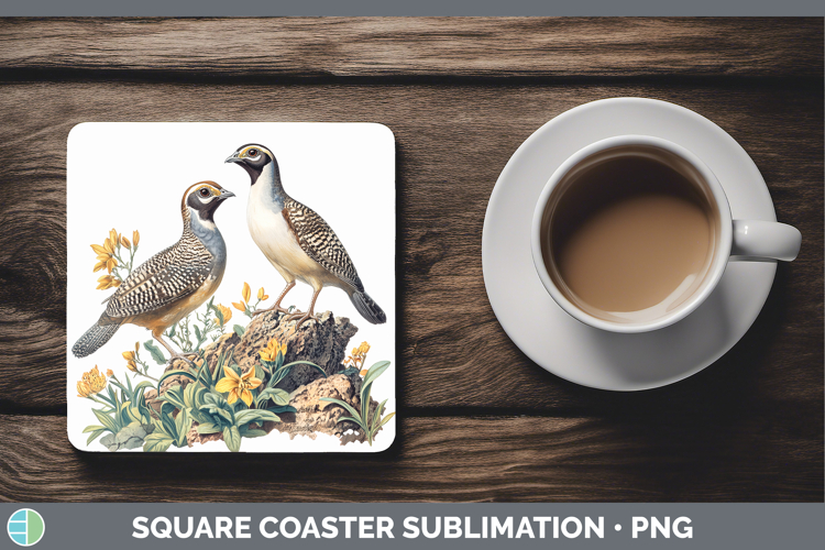 Birds 01 Vintage Quail Square Coaster Sublimation Coaster De