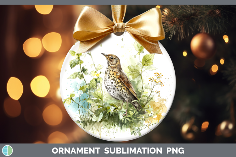 Song Thrush Birds 02 Sketch Ornament Sublimation Design