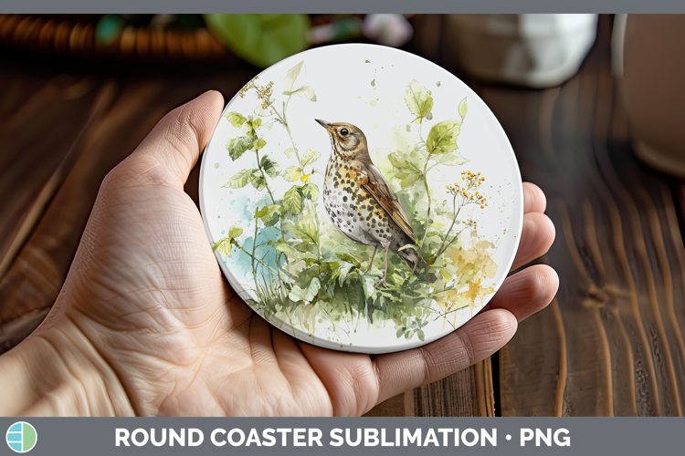 Song Thrush Birds 02 Sketch Round Coaster Sublimation Design