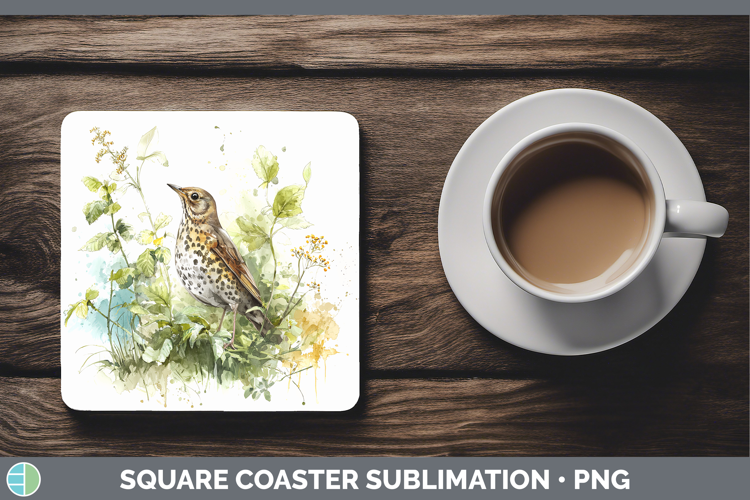 Song Thrush Birds 02 Sketch Square Coaster Sublimation Desig
