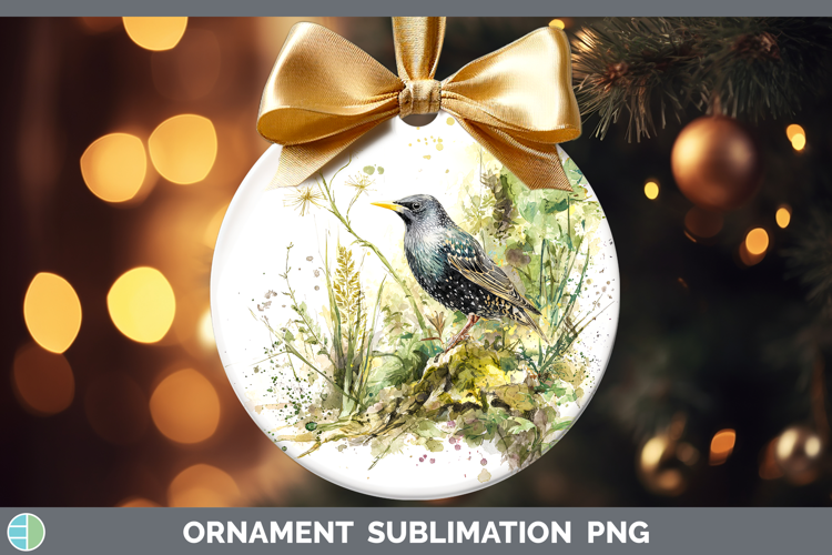Starling Birds 02 Sketch Ornament Sublimation Design