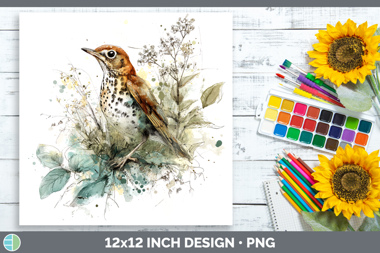 Wood Thrush Birds 02 Sketch Paper Backgrounds Design