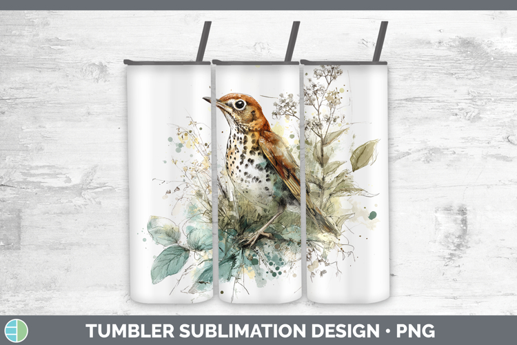 Wood Thrush Birds 02 Sketch Tumbler Sublimation Design