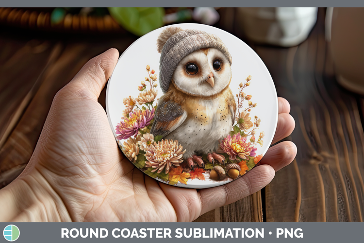 Owl Round Coaster Birds Knit Hat Sublimation Coaster Designs