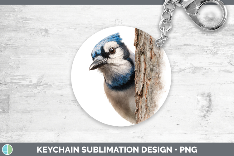 Blue Jay Clipart Image 21