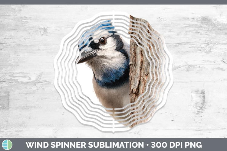 Blue Jay Clipart Image 11