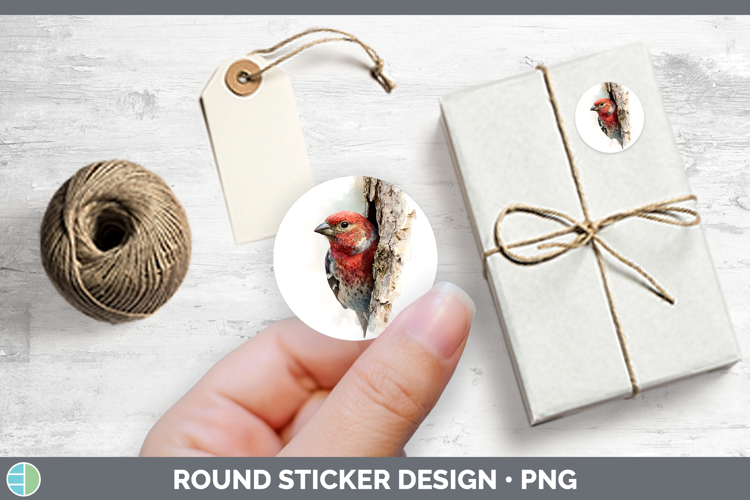 Pine Grosbeak Birds Tree Peek Stickers Design