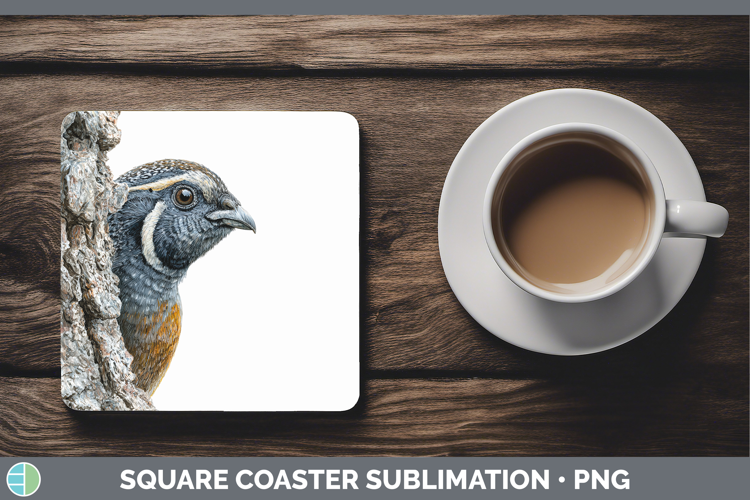 Quail Birds Tree Peek Square Coaster Sublimation Design