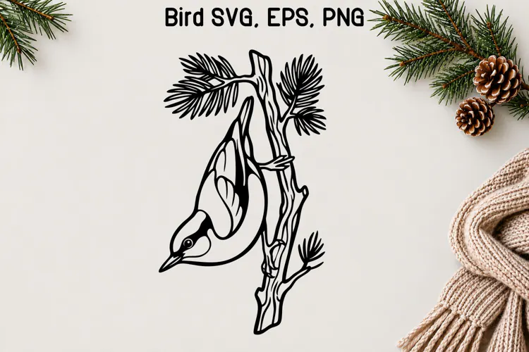 Winter Nuthatch Pine Branch SVG