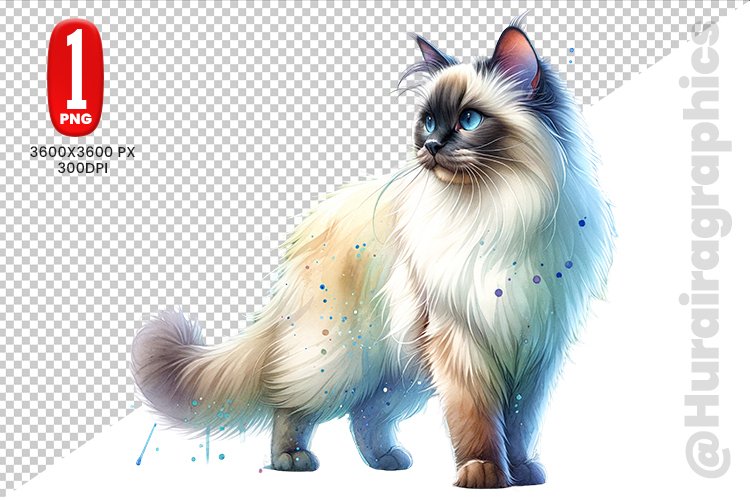 Cute Cat Clipart Image 9