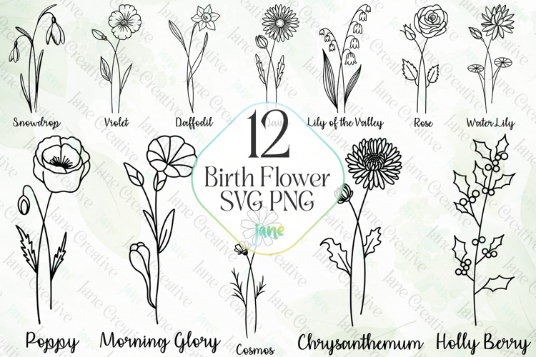 Flower Illustrations Image 23