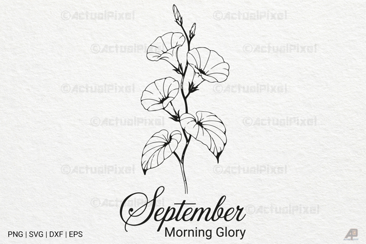 Birth Month Flowers SVG PNG