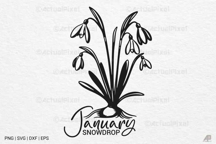 Birth Month Flowers Image 4