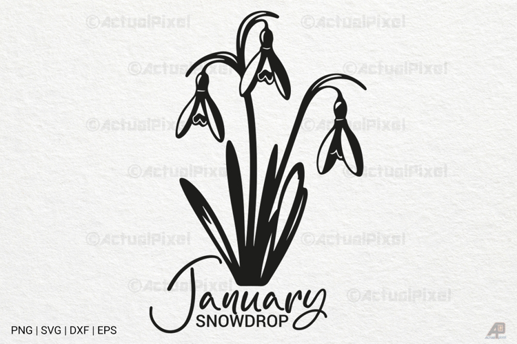 Birth Month Flowers Image 3