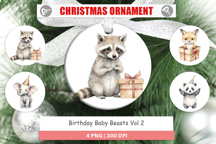Christmas Birthday Clipart Image 17