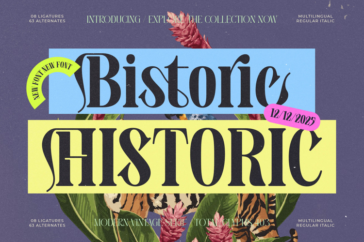 Bistoric Historic - Modern Vintage Serif