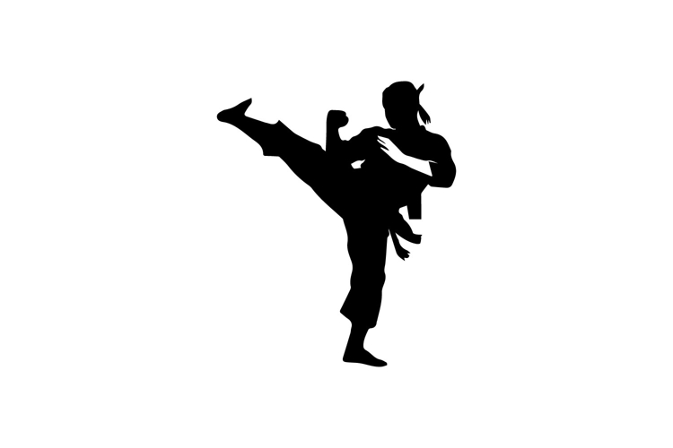 Martial Arts Silhouette Image 10