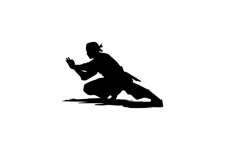 Martial Arts Silhouette Image 12