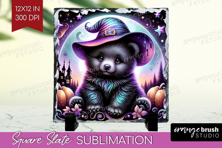 Baby Bear PNGs Image 15