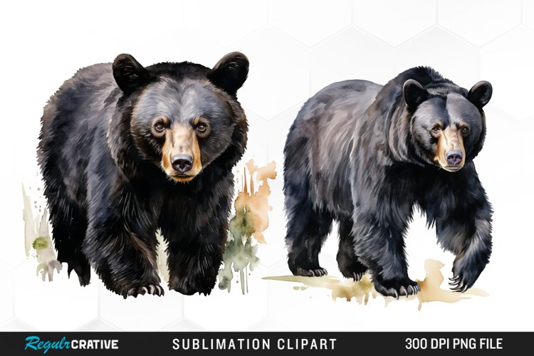 Watercolor Black Bear Illustration Clipart example image 1