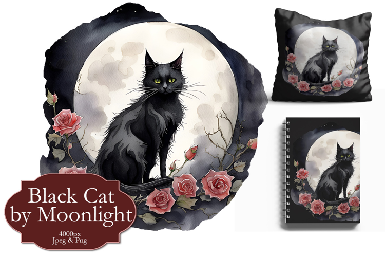 Black Cat & Roses by Moonlight Illustration