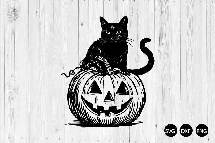 Black Cat Pumpkin SVG, Halloween Cat SVG, Boo Cat SVG example image 1