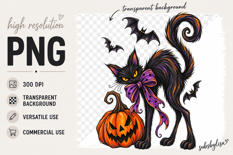 Black Cat Jack-o-Lantern PNG