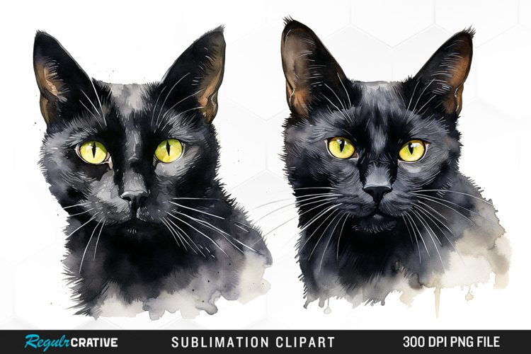 Black Cat Png Image 14