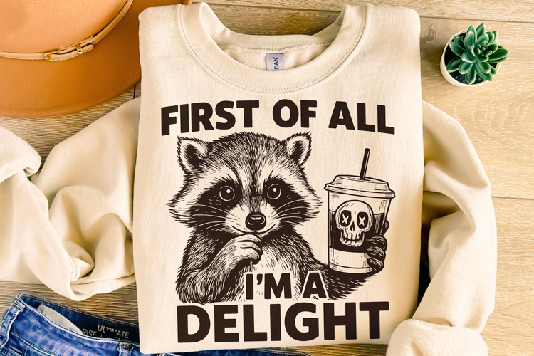 Raccoon Png Image 24