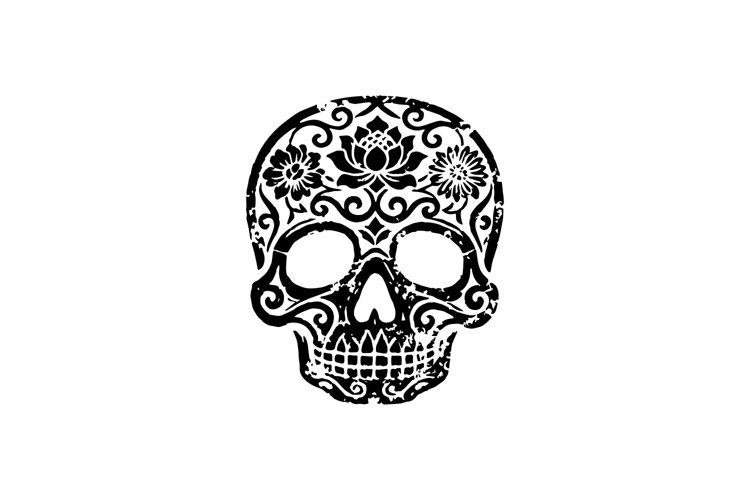 Skull Graphic Image 7