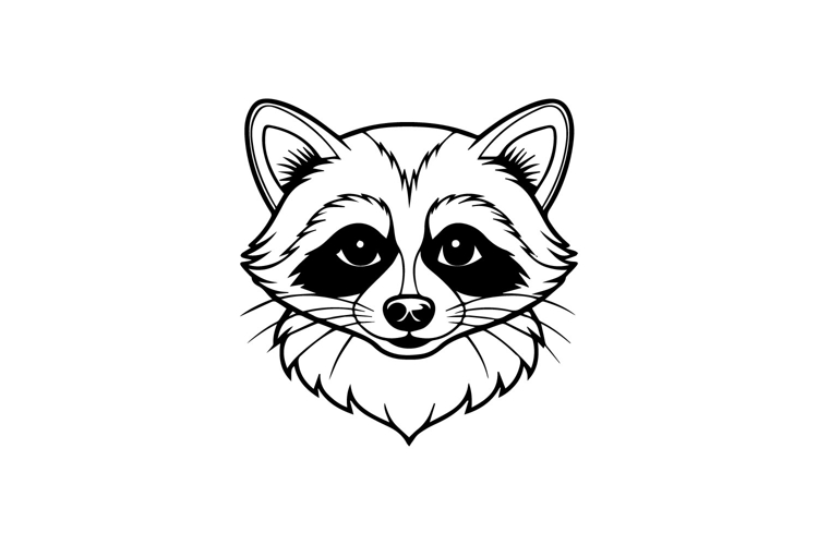 Raccoon Illustration Image 18