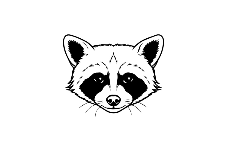 Raccoon Illustration Image 17