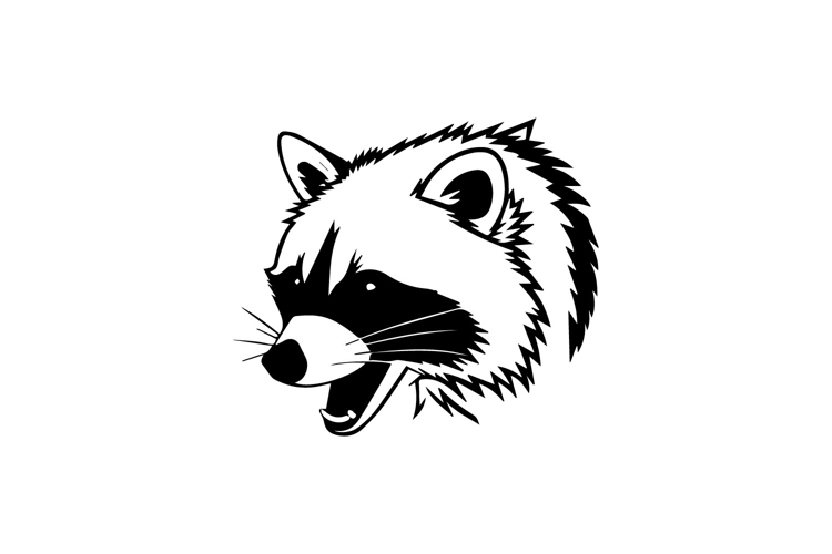 Raccoon Illustration Image 15