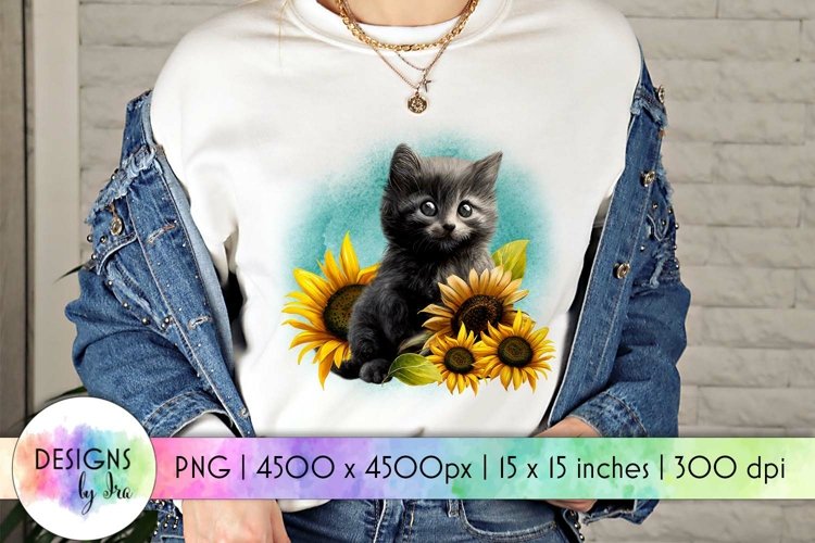 Kitten Png
