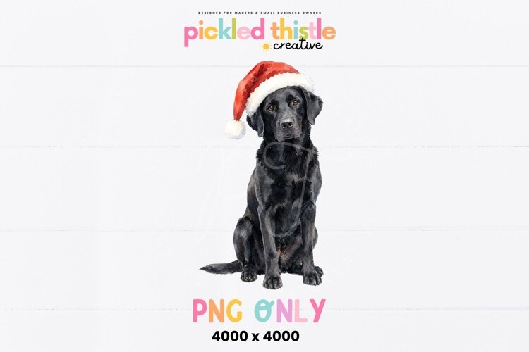 Single black Labrador Christmas graphic with soft watercolor details and a traditional red Santa hat for seasonal crafting and design.