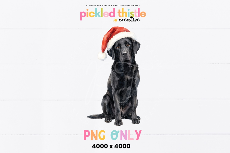 Black Lab Christmas PNG, Labrador PNG
