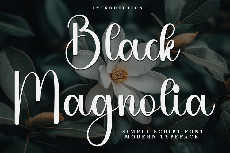 Branding Font Image 19