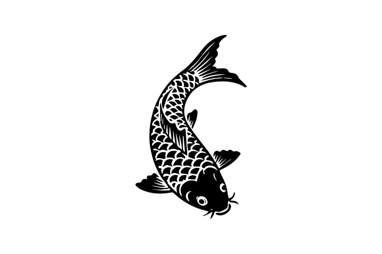 Fish Illustration Image 12