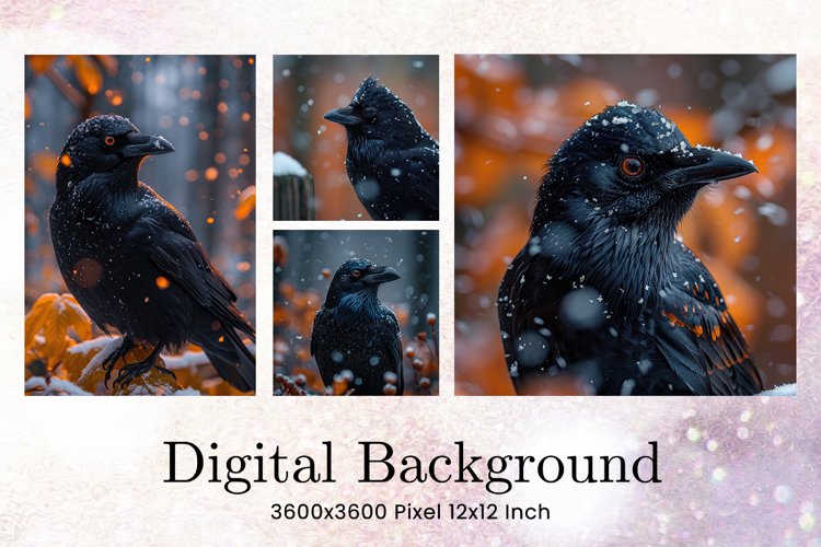 Black Raven Crow Halloween Background Wallpaper Backdrop_36