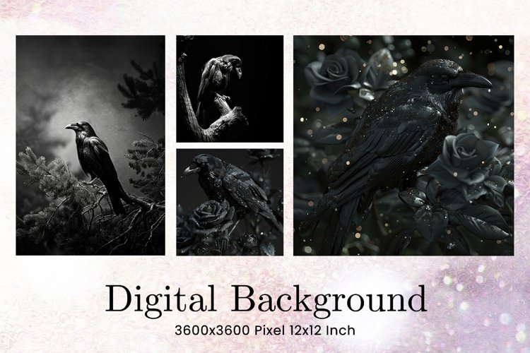 Black Raven Crow Halloween Background Wallpaper Backdrop_47