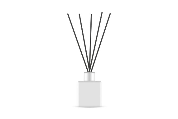 Small Blank Diffuser Bottle With Black Aroma Sticks example image 1