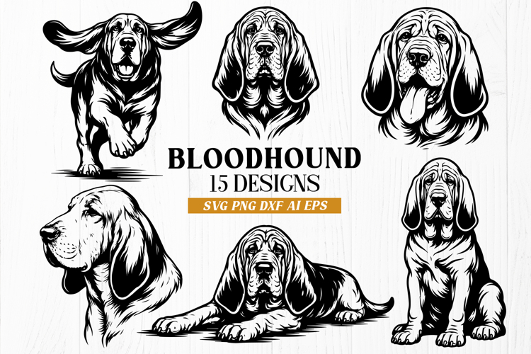 Bloodhound SVG Bundle | 15 Bloodhound Hunting Dog Designs