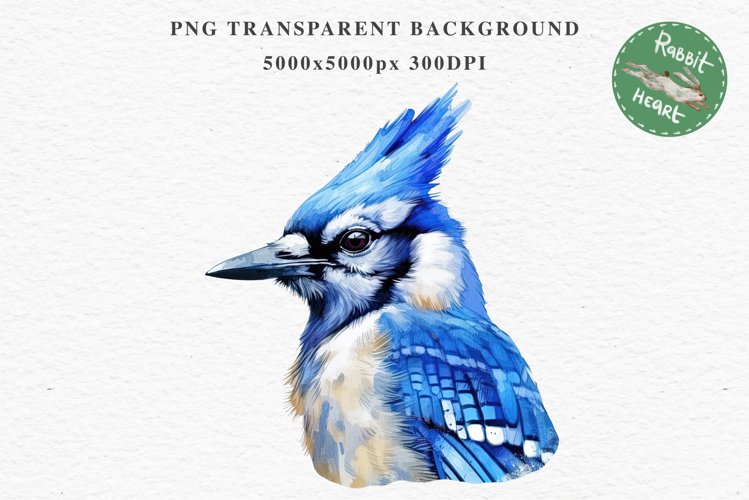 Blue Jay Birds Clipart Savanna PNG Nursery Art Scrapbooking Image Watercolor  Transparent Print invitation t-shirt designs sublimation kids printable digital watercolor cute Blue Jay, Safari birds bird clipart, sublimation nursery drawing Savanna