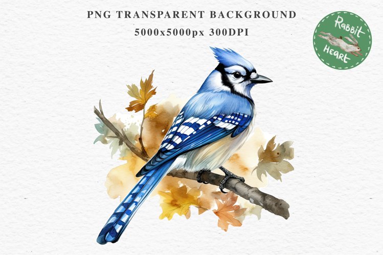 Blue Jay Birds Clipart Savanna PNG Nursery Art Scrapbooking Image Watercolor  Transparent Print invitation t-shirt designs sublimation kids printable digital watercolor cute Blue Jay, Safari birds bird clipart, sublimation nursery drawing Savanna