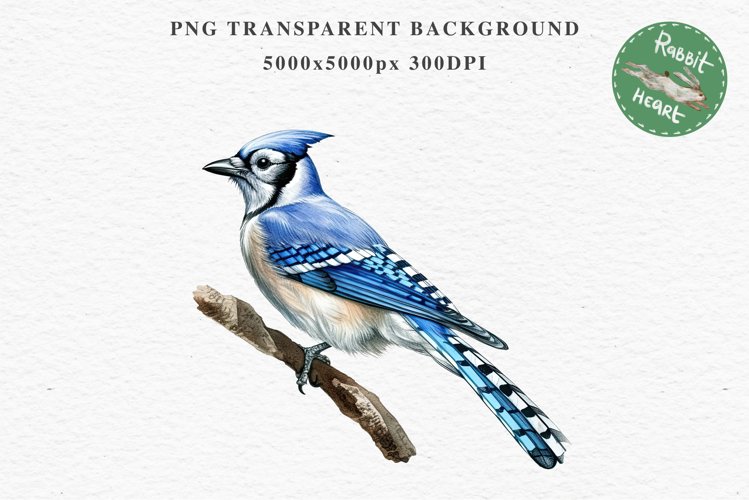 Blue Jay Clipart Image 21