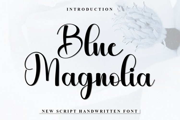 Blue Magnolia example image 1