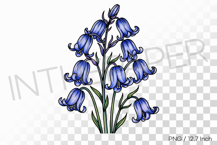 Flower Drawing Png Image 15