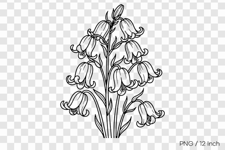 Flower Drawing Png Image 12
